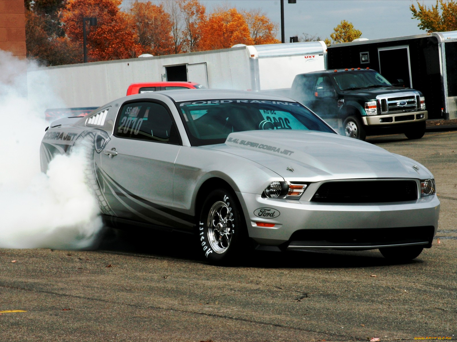 ford, mustang, cobra, jet, 